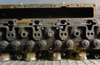 Motor Zylinderkopf für Motor Cummins 6CT8.3 3919764