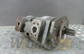 Zahnpumpe David Brown SPAX2210/1909A21 