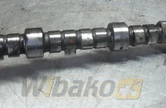 Nockenwelle Mitsubishi 8DC9 195