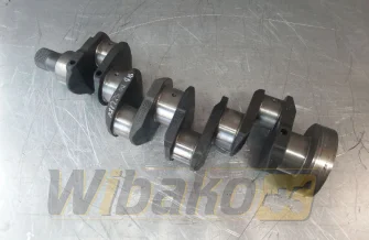 Kurbelwelle für Motor Caterpillar 3054 3131579F