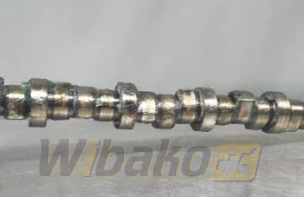 Nockenwelle für Motor Deutz BF6M1012 04251914