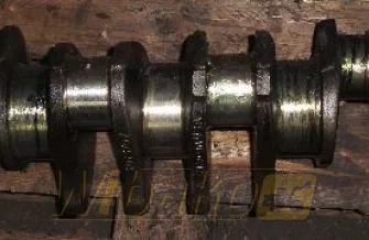 Kurbelwelle Cummins 3073707
