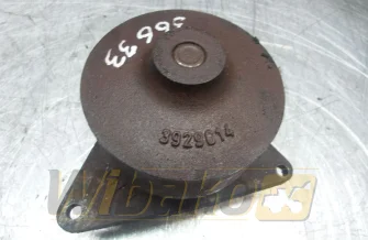 Wasserpumpe Cummins 3929614