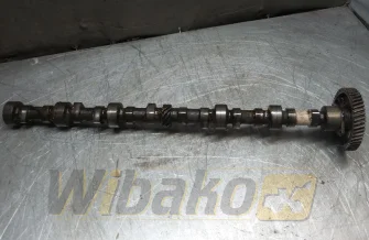 Nockenwelle Isuzu 6BG1TPC-01 