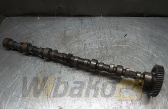 Nockenwelle Isuzu A-6BG1TQB 