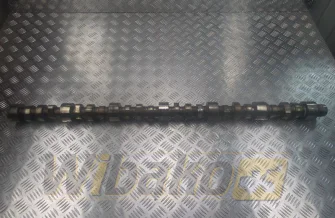 Nockenwelle Cummins ISX15 3412284