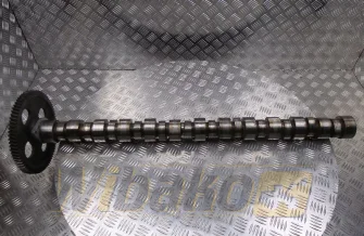Nockenwelle für Motor Cummins LT10 3036117