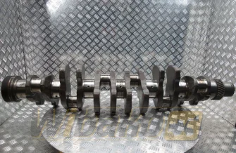 Kurbelwelle für Motor Cummins NT 3000140