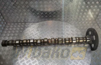 Nockenwelle Cummins M11 CELECT PLUS 3895786
