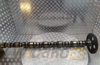 Nockenwelle für Motor Cummins KT19 3077994