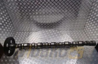 Nockenwelle für Motor Cummins KT19 3077994