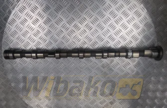 Nockenwelle für Motor Cummins QSB6.7 3954100