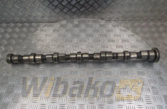 Nockenwelle Iveco 4896421