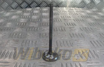 D= 33 mm für Motor Caterpillar C6.6 