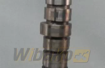 Nockenwelle für Motor Volvo D12D 20576909