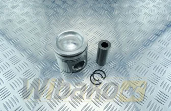Kolben des Motors Cummins 4955160