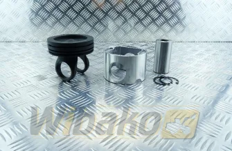 Kolben des Motors Cummins 4089963