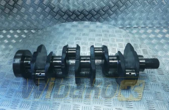 Kurbelwelle Perkins 1004-4T 2207124152/ZZ90225