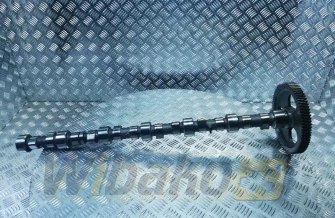 Nockenwelle Cummins 3923478
