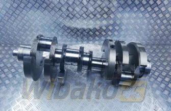Kurbelwelle Liebherr D9508 10128914/10117712/3021910