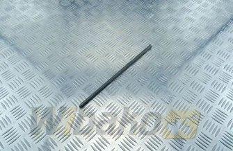  BF Original 6CT 8.3 201012C6050