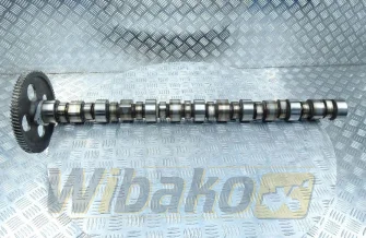 Nockenwelle für Motor Cummins LT10 3895809