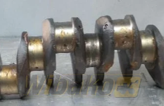 Kurbelwelle für Motor Volvo TD122 8125584