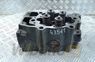 Motor Zylinderkopf Liebherr 10120384