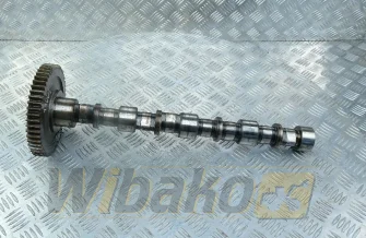 Nockenwelle Deutz TCD3.6 L4 04125160/04125134
