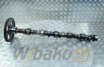 Nockenwelle für Motor Caterpillar 3116 108-5759