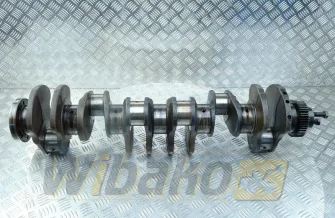 Kurbelwelle für Motor Caterpillar 3116 105-1725
