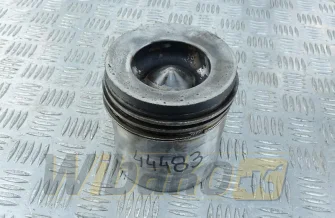 Kolben des Motors Case 6T-830 3919247