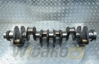 Kurbelwelle für Motor Case 6T-830 3917320
