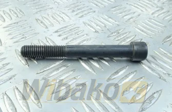 ISO4762 M12X100 10.9 Liebherr 4043006