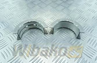  Iveco 2995784