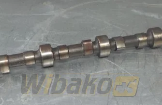 Nockenwelle Volvo TD122KHE 1001549
