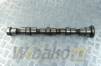 Nockenwelle Cummins 4896419