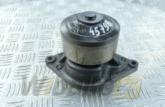 Wasserpumpe Cummins 4891252