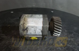 Zahnpumpe Hydraulik Technik 2DC2012L10 