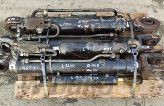 ein Satz von Hydraulikzylindern Terex TL260 