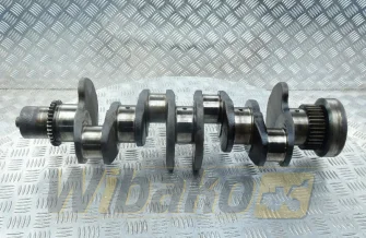 Kurbelwelle Cummins 5289840