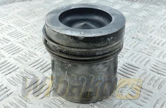 Kolben des Motors für Motor Deutz 1013 04205256