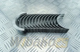 Hauptlager 0.25 Kolbenschmidt 77801610