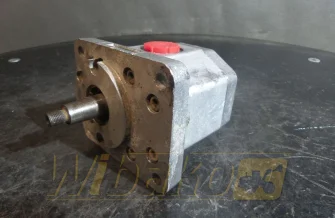 Zahnpumpe WPH PZ2-K-10L B06050339