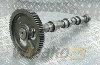 Nockenwelle für Motor Cummins 3.9 3929885