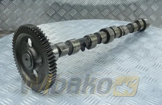 Nockenwelle Liebherr D504 7090038/R135439/R133812