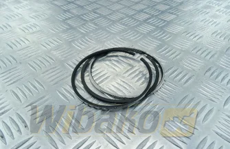 Kolbenringe Kolbenschmidt 6CT8.3 800054510000