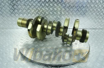Kurbelwelle STD BF Original 20050510156