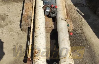 ein Satz von Hydraulikzylindern Terex TA30 