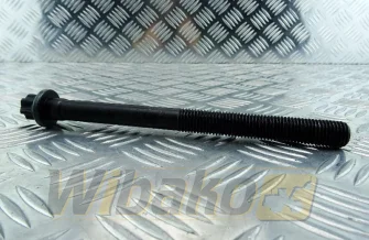 M16x2.0x195x100 wbk 10131573